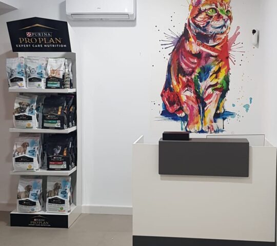 Clínica Veterinaria María Auxiliadora