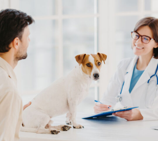 Clínica Veterinaria Mediterráneo