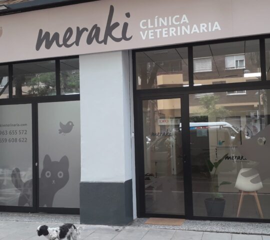 Clinica Veterinaria Meraki Clinica Veterinaria Meraki