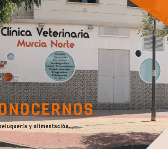 Clinica Veterinaria Murcia Norte