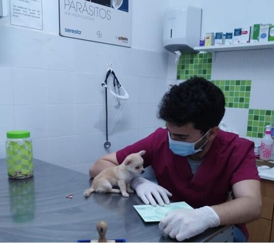 Clinica Veterinaria Naturalia