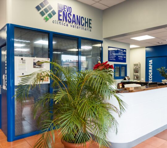 Clínica Veterinaria Nuevo Ensanche