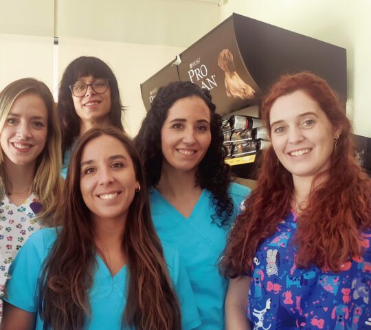 Clínica Veterinaria PICA