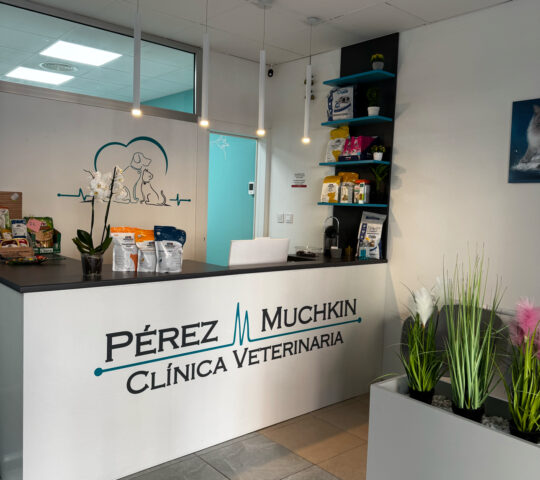 Clínica Veterinaria Pérez-Muchkin Clínica Veterinaria Pérez-Muchkin