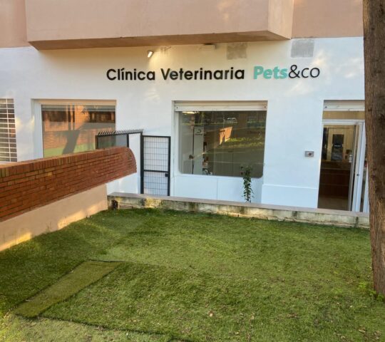 Clinica Veterinaria Pets&co Clinica Veterinaria Pets&co