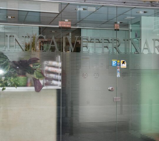 Clínica Veterinària Poble Nou Clínica Veterinària Poble Nou