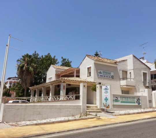 Clínica Veterinaria Pointer