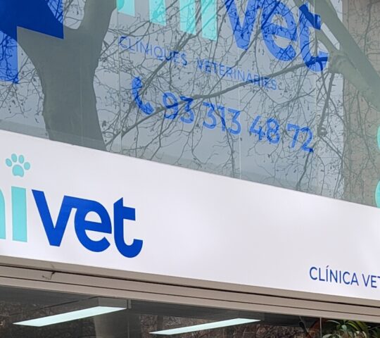 Clínica Veterinària Prim Animals | MiVet
