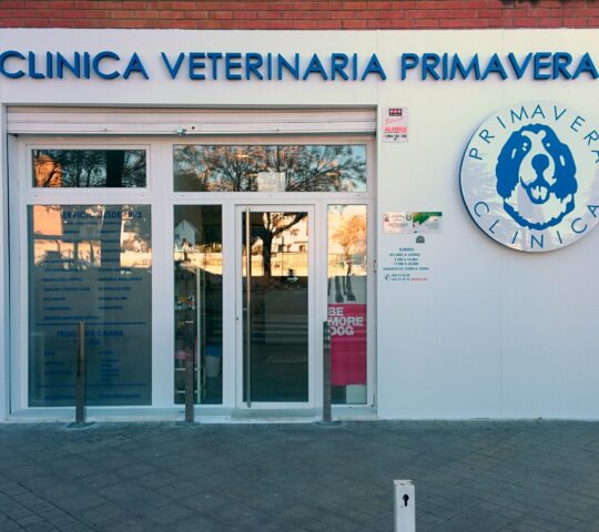 Clínica Veterinaria Primavera