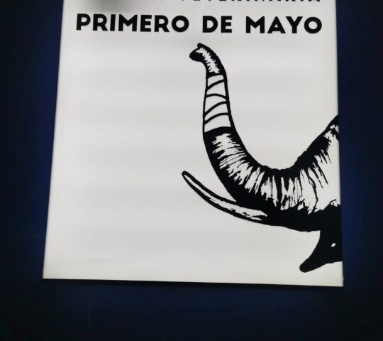 Clínica Veterinaria Primero de Mayo
