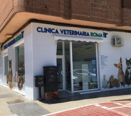Clinica Veterinaria Roma