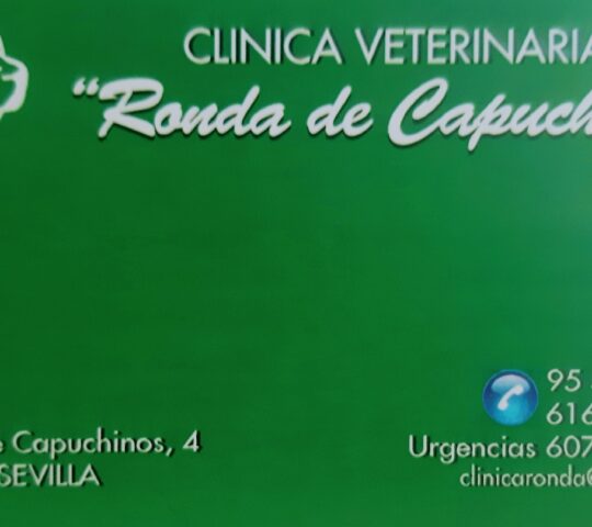 Clínica Veterinaria Ronda de Capuchinos