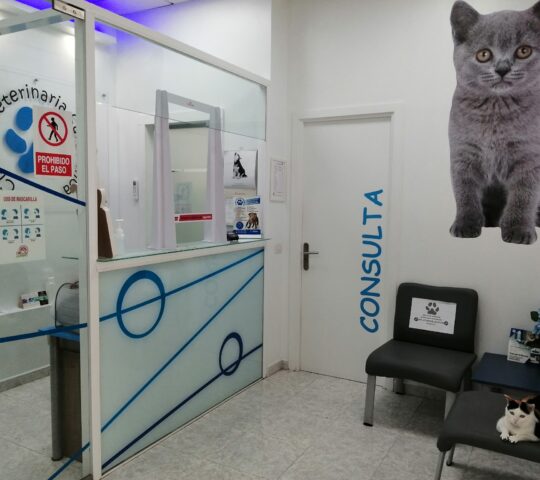 Clínica Veterinaria Salamanca