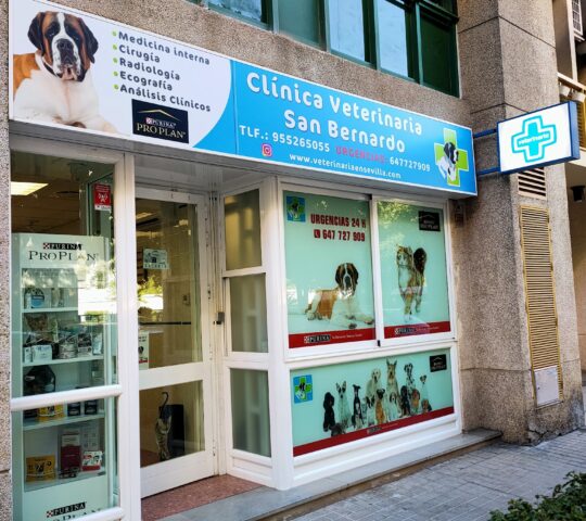 Clínica Veterinaria San Bernardo