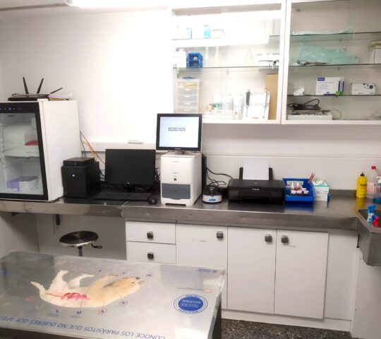 Clinica Veterinaria San Fernando, Palma de Mallorca