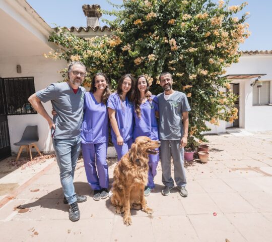 Clínica Veterinaria San Francisco de Asís Clínica Veterinaria San Francisco de Asís