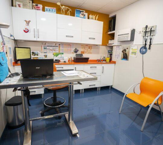 Clínica Veterinaria San Sebastián