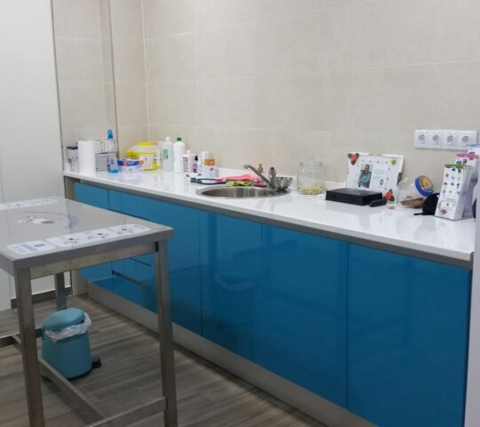 Clínica Veterinaria Sans Clínica Veterinaria Sans