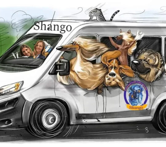 Clínica Veterinaria Shangó