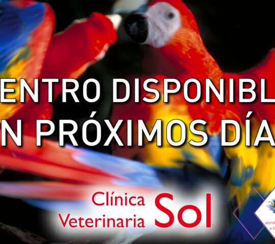 Clinica Veterinaria Sol S.L Clinica Veterinaria Sol S.L