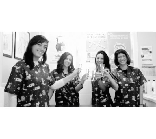 Clínica Veterinaria Son Frau Clínica Veterinaria Son Frau