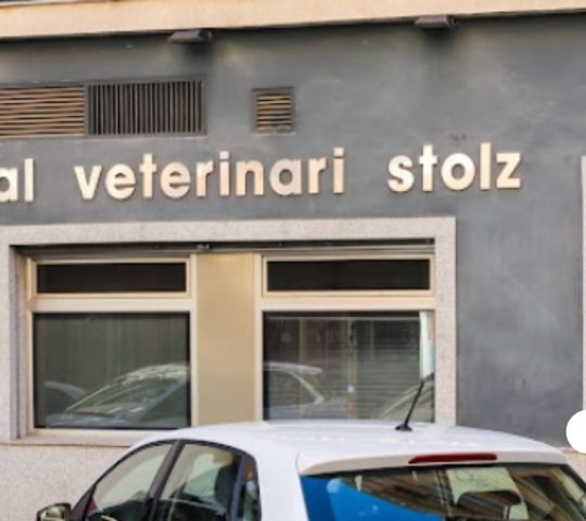 Clínica Veterinaria Stolz | MiVet