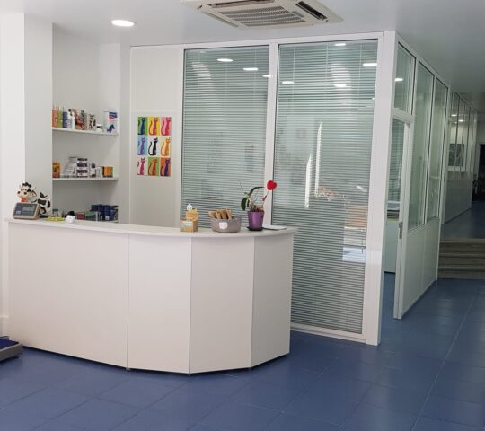 Bidarte albaitari klinika – Deustu