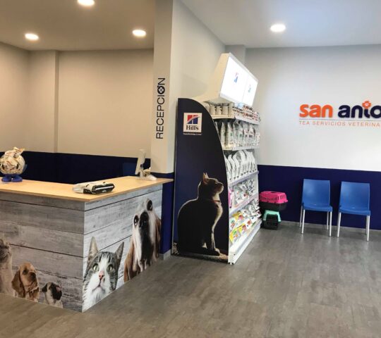 Clínica Veterinaria Tea San Antón Vigo