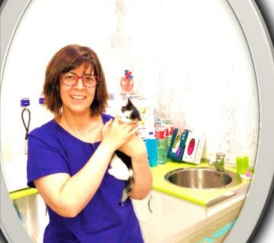 Clínica Veterinaria Tudela