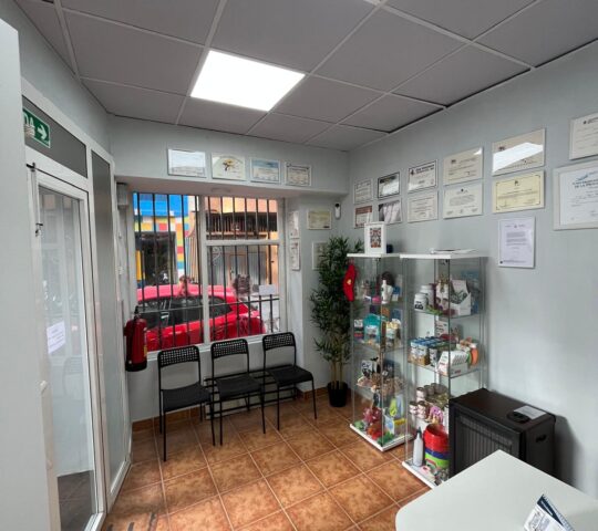 Clinica Veterinaria VIDA