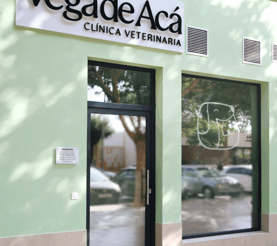 Clínica Veterinaria Vega de Acá