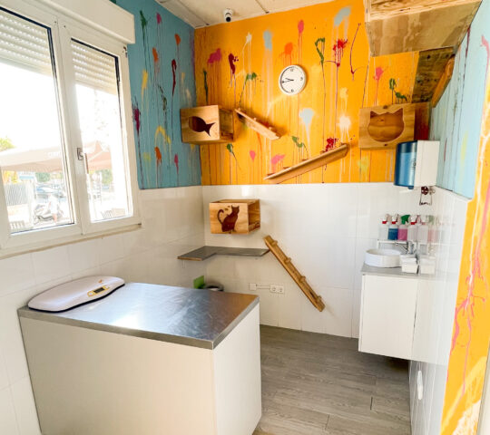 Clínica Veterinaria Vetsur – Torremolinos