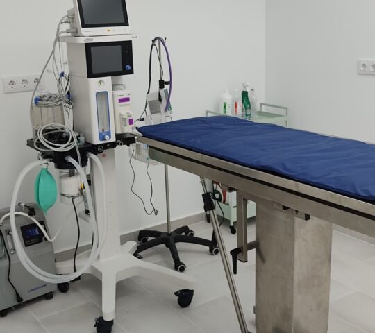 Clínica Veterinaria Vigo Grovalvet