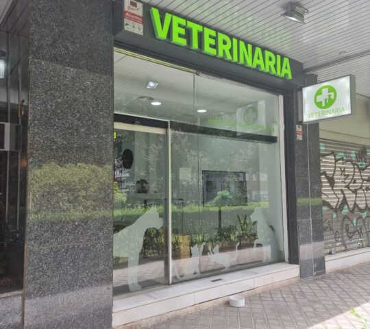 Clínica Veterinaria en Chamartín | Vivero