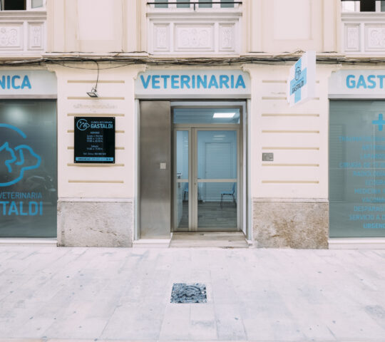Clínica Veterinaria en Ciutat Vella | Gastaldi