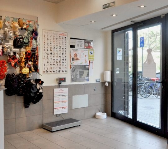 Clínica veterinària Almogàvers Parc Clínica veterinària Almogàvers Parc