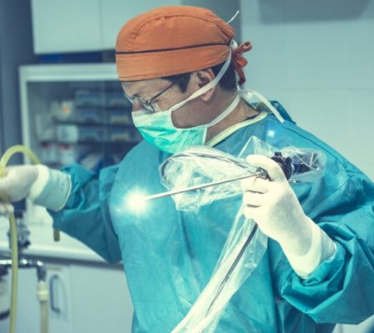 Clínica veterinària Ayora Clínica veterinària Ayora