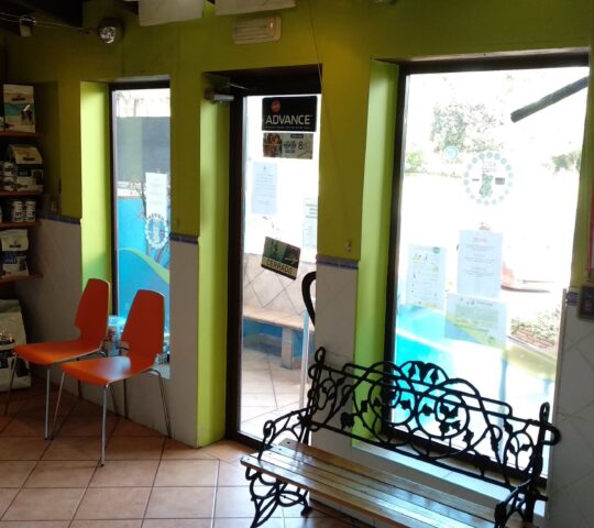 Clínica veterinaria Dogo Azul Calahonda