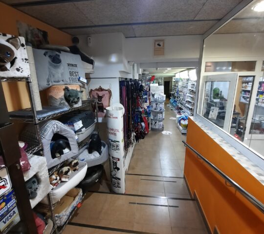 Consultorio Veterinario Animal Style