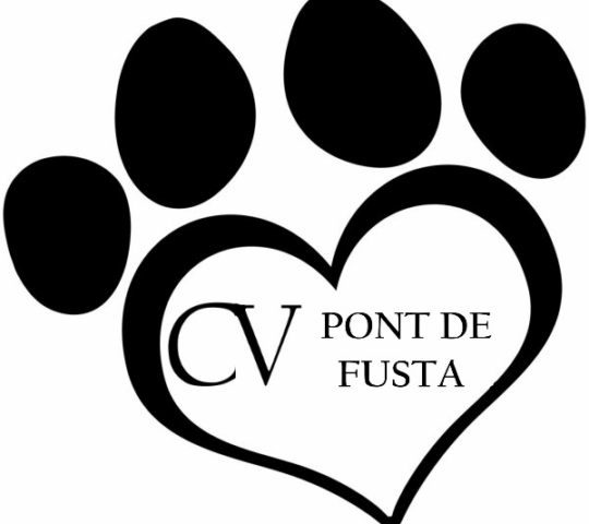 Consultorio Veterinario Pont De Fusta Consultorio Veterinario Pont De Fusta