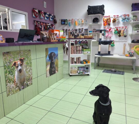 Coquetos Peluquería Canina