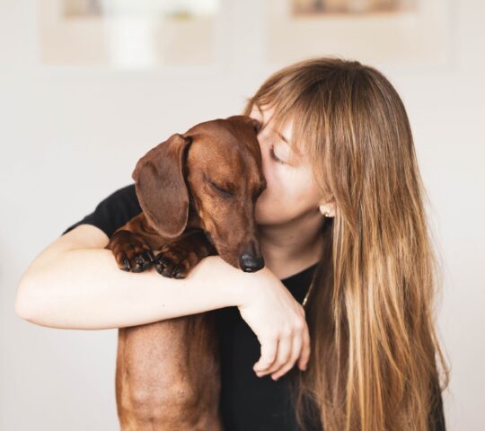 Cuatro Patas Clínica Veterinaria