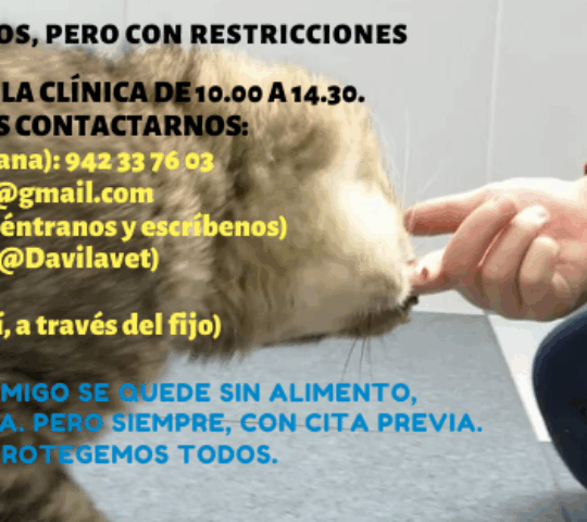 Dávila Centro Veterinario Dávila Centro Veterinario