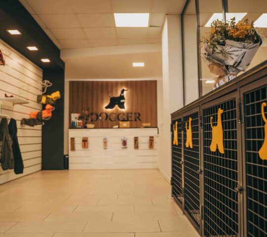 Dogger MG, Dog Designers