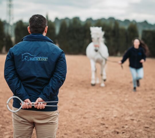 EQUICLINIC VETERINARIOS (ÉQUIDOS & MASCOTAS)