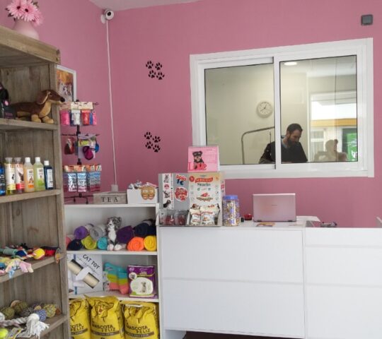 ESPÍRITU ANIMAL PELUQUERÍA CANINA