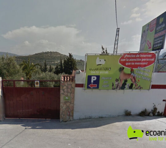 Ecoanimalia | Love For Animals