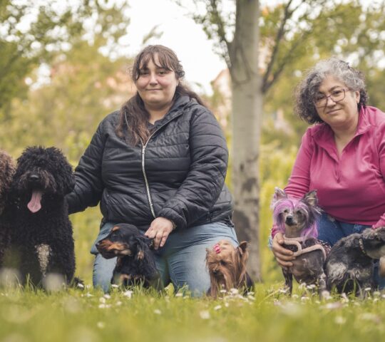 El Rincón de Marepopito