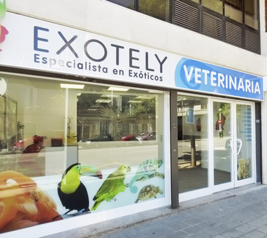 Exotely, Clínica Veterinaria Exotely, Clínica Veterinaria