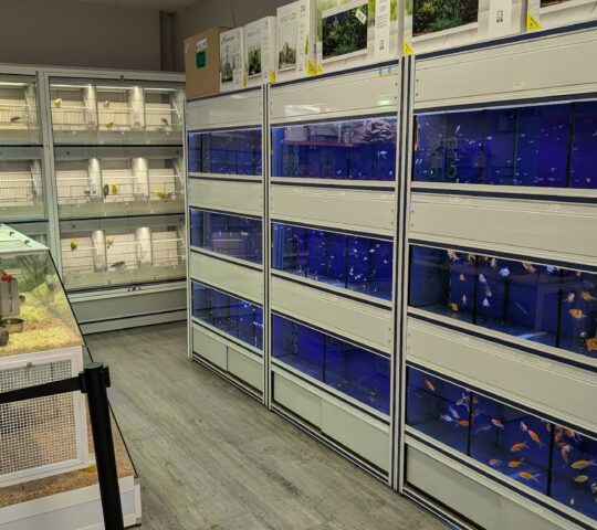 Faunaparaíso Faunaparaíso